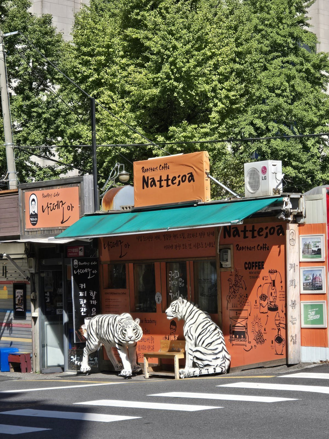 The orange Nattejoa roastery cafe in Seoul with two white tiger statues out front
