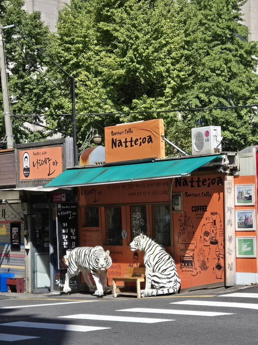 The orange Nattejoa roastery cafe in Seoul with two white tiger statues out front